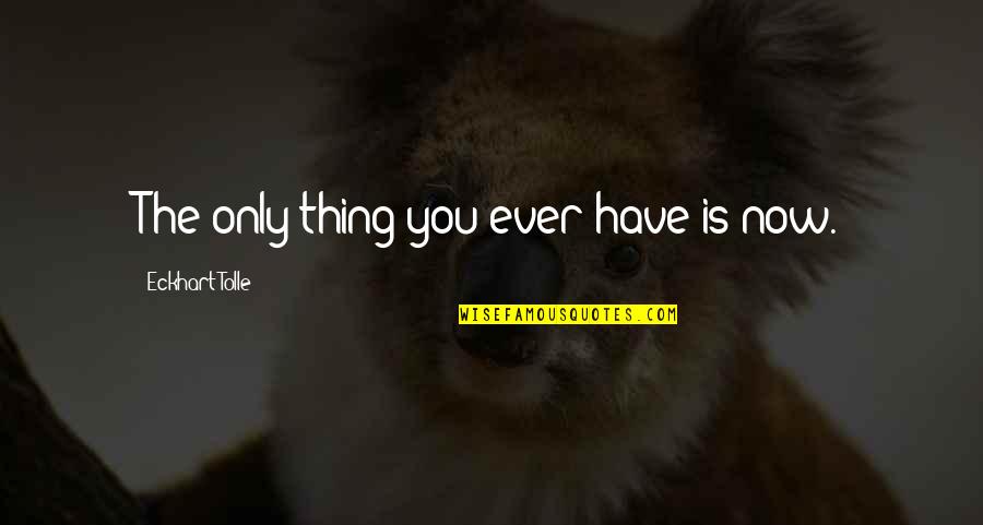 Eugenio De Andrade Quotes By Eckhart Tolle: The only thing you ever have is now.