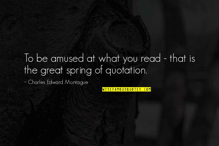 Eukaryotic Quotes By Charles Edward Montague: To be amused at what you read -
