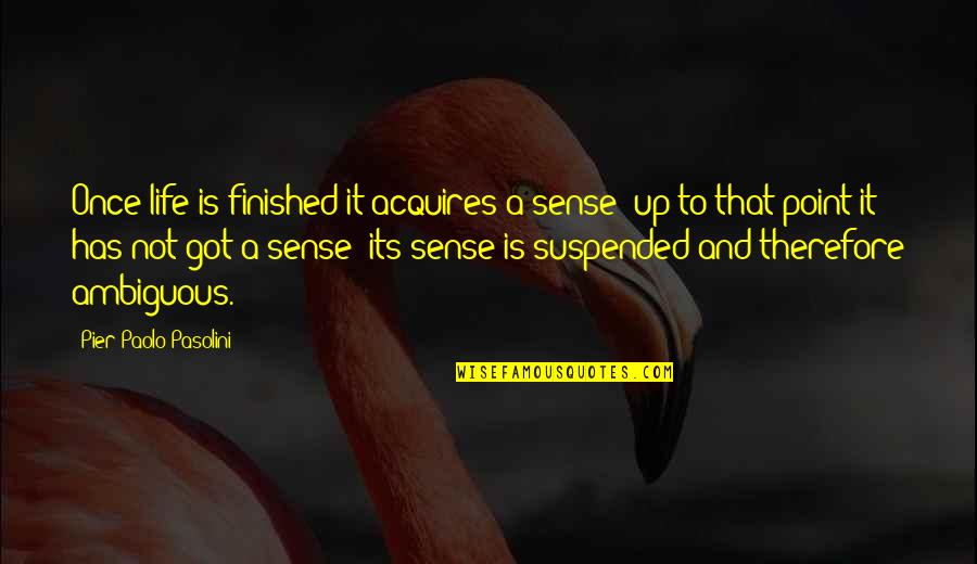 Eulan Hooper Quotes By Pier Paolo Pasolini: Once life is finished it acquires a sense;