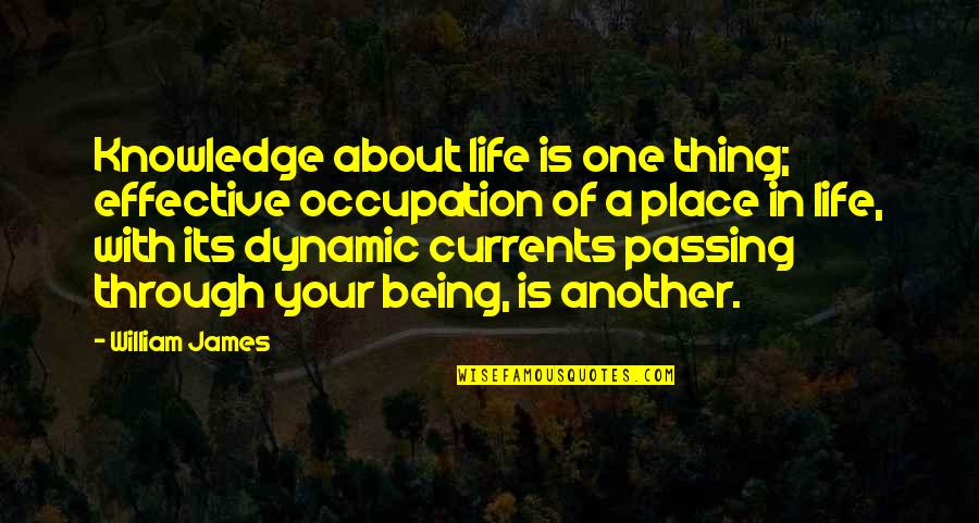 Eulan Hooper Quotes By William James: Knowledge about life is one thing; effective occupation