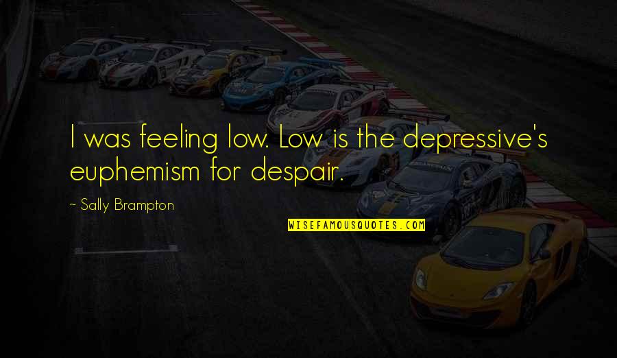 Euphemism Quotes By Sally Brampton: I was feeling low. Low is the depressive's Euphemism Quotes By Sally Brampton: I was feeling low. Low is the depressive's