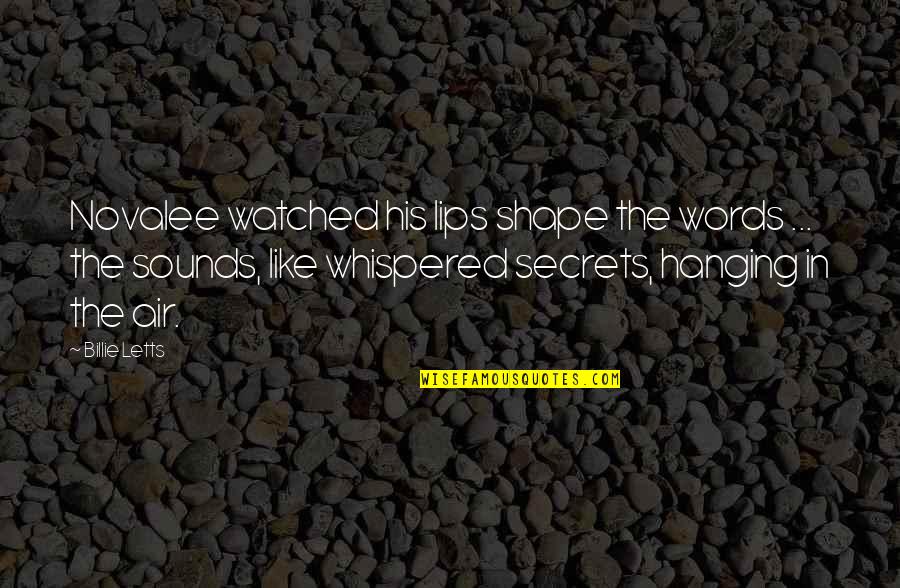 Euphony Gardens Quotes By Billie Letts: Novalee watched his lips shape the words ...
