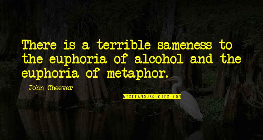 Euphoria's Quotes By John Cheever: There is a terrible sameness to the euphoria