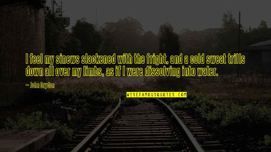 Euphoric Motivational Quotes By John Dryden: I feel my sinews slackened with the fright,