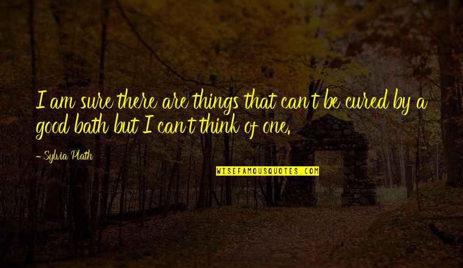 Eurasians Festivals Quotes By Sylvia Plath: I am sure there are things that can't Eurasians Festivals Quotes By Sylvia Plath: I am sure there are things that can't