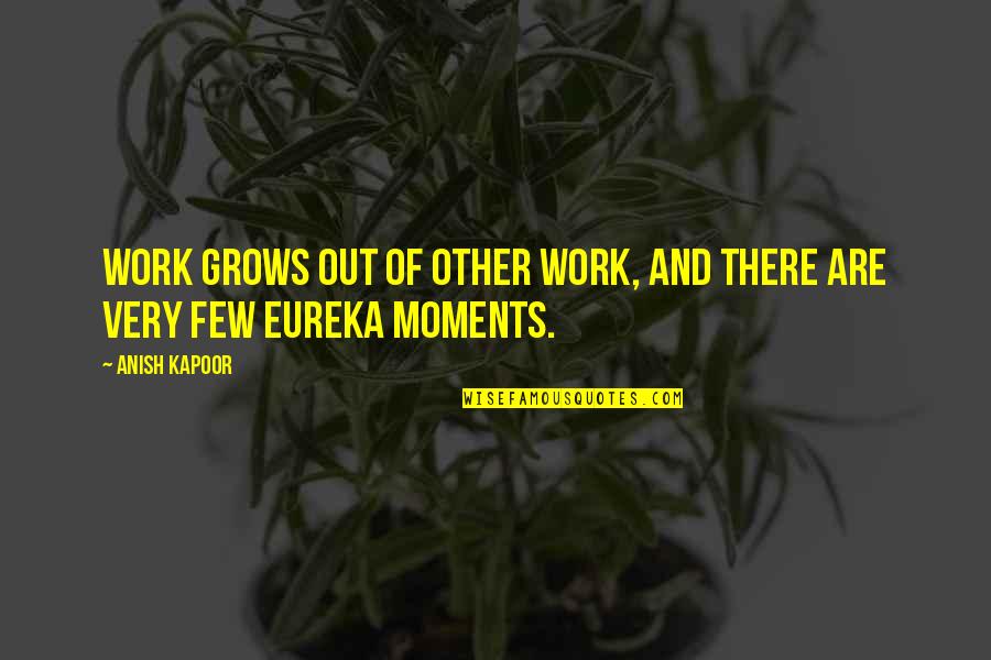 Eureka's Quotes By Anish Kapoor: Work grows out of other work, and there