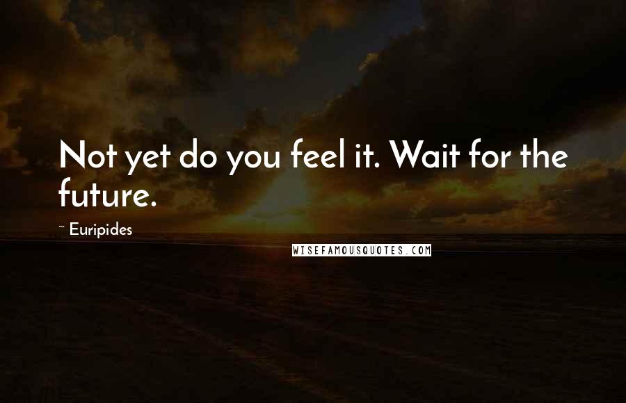 Euripides quotes: Not yet do you feel it. Wait for the future.