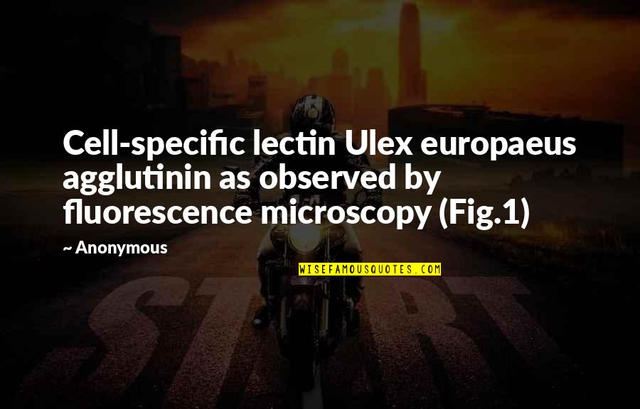 Europaeus Quotes By Anonymous: Cell-specific lectin Ulex europaeus agglutinin as observed by