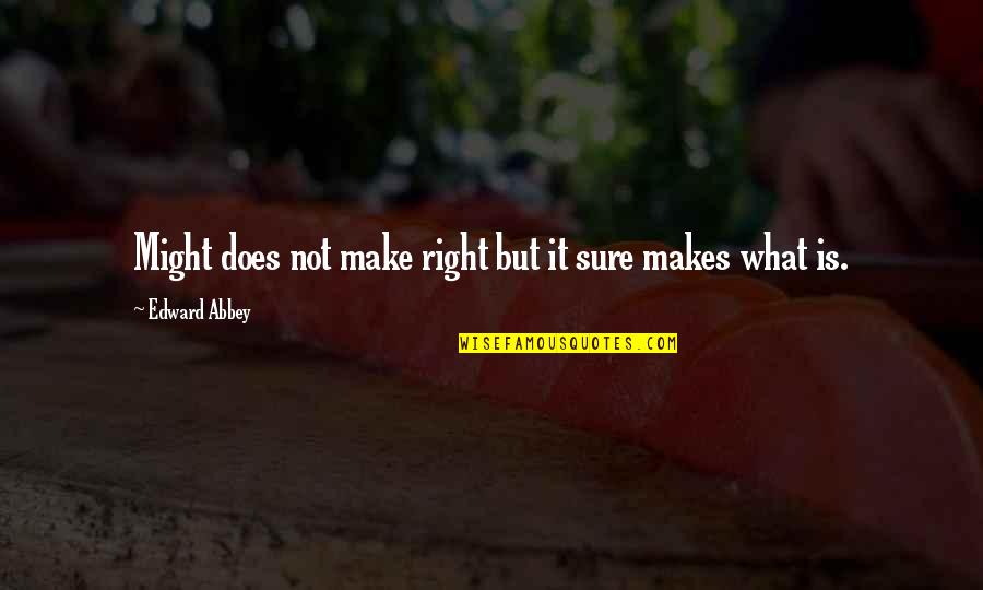 Eusebio Zapata Quotes By Edward Abbey: Might does not make right but it sure