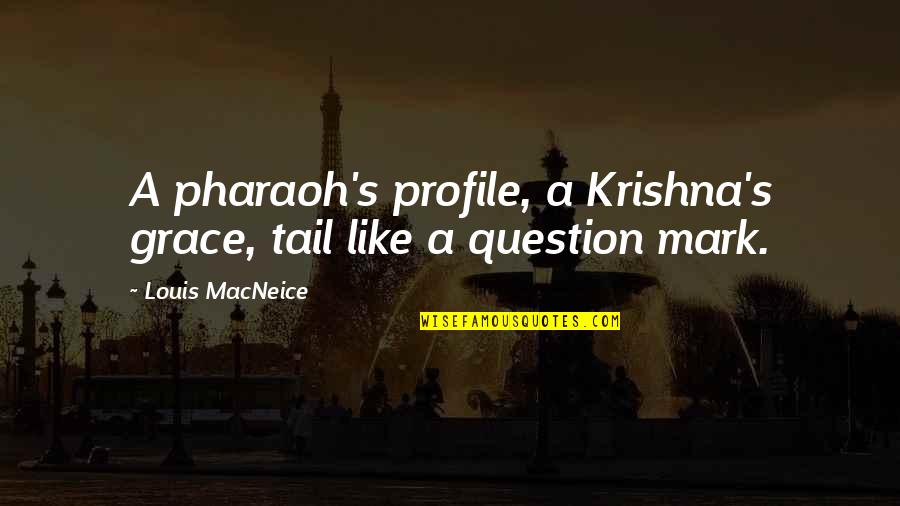 Euston Square Quotes By Louis MacNeice: A pharaoh's profile, a Krishna's grace, tail like
