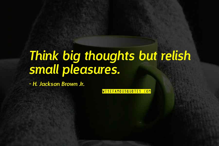 Euwe Anderson Quotes By H. Jackson Brown Jr.: Think big thoughts but relish small pleasures.