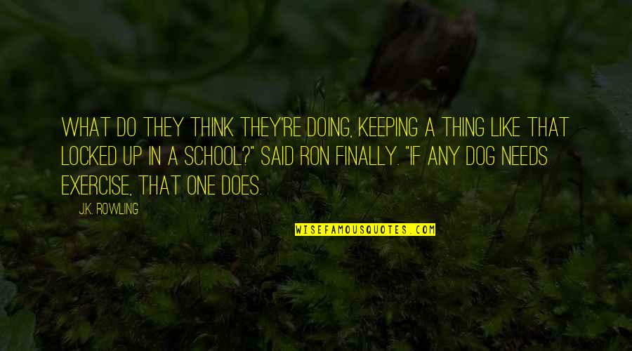 Eva Burrows Quotes By J.K. Rowling: What do they think they're doing, keeping a