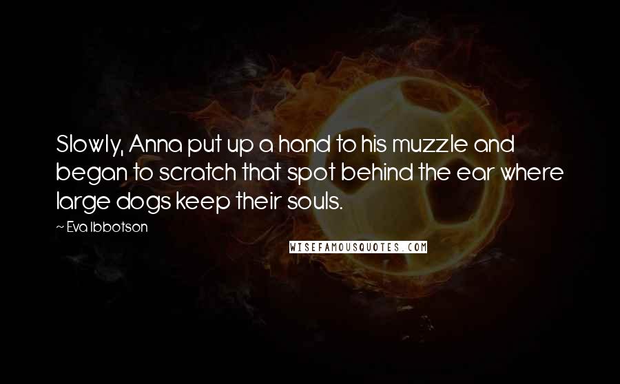 Eva Ibbotson quotes: Slowly, Anna put up a hand to his muzzle and began to scratch that spot behind the ear where large dogs keep their souls.