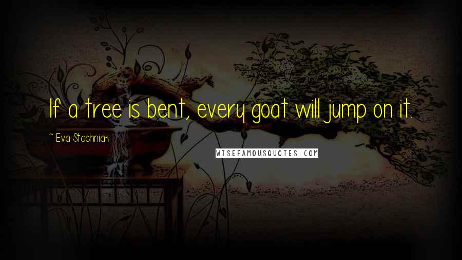 Eva Stachniak quotes: If a tree is bent, every goat will jump on it.