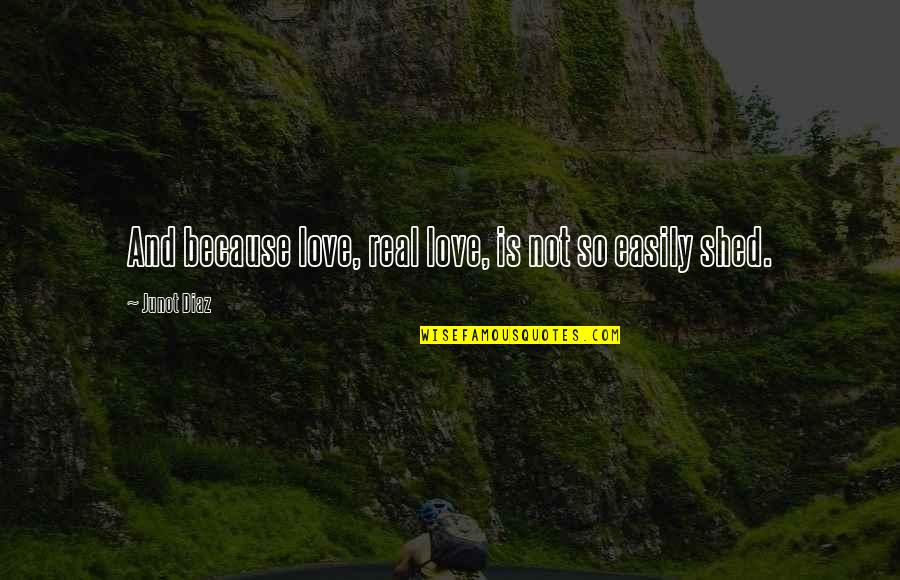Evaccess Quotes By Junot Diaz: And because love, real love, is not so