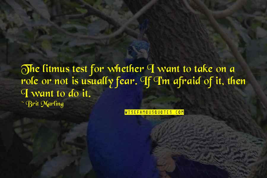 Evacuate Quotes By Brit Marling: The litmus test for whether I want to