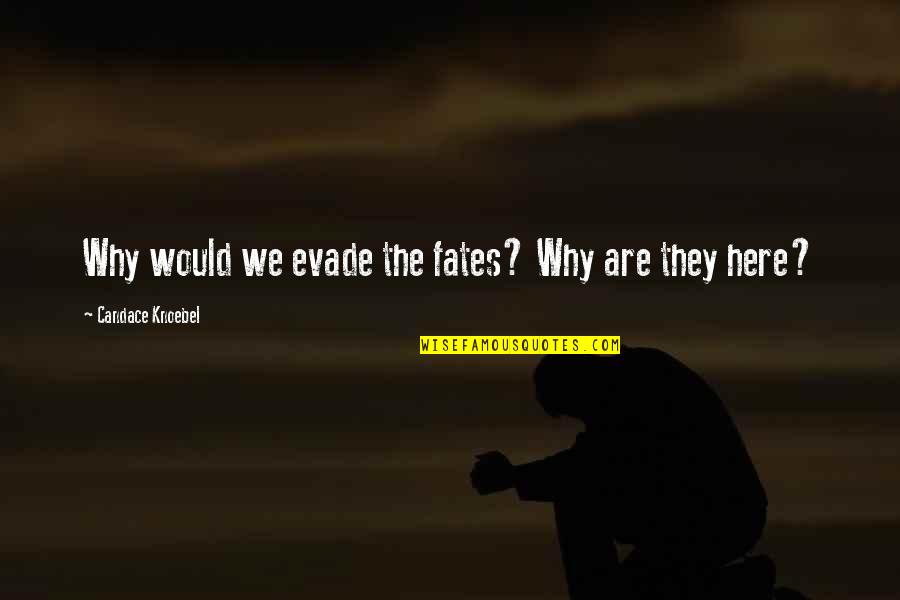 Evade Quotes By Candace Knoebel: Why would we evade the fates? Why are