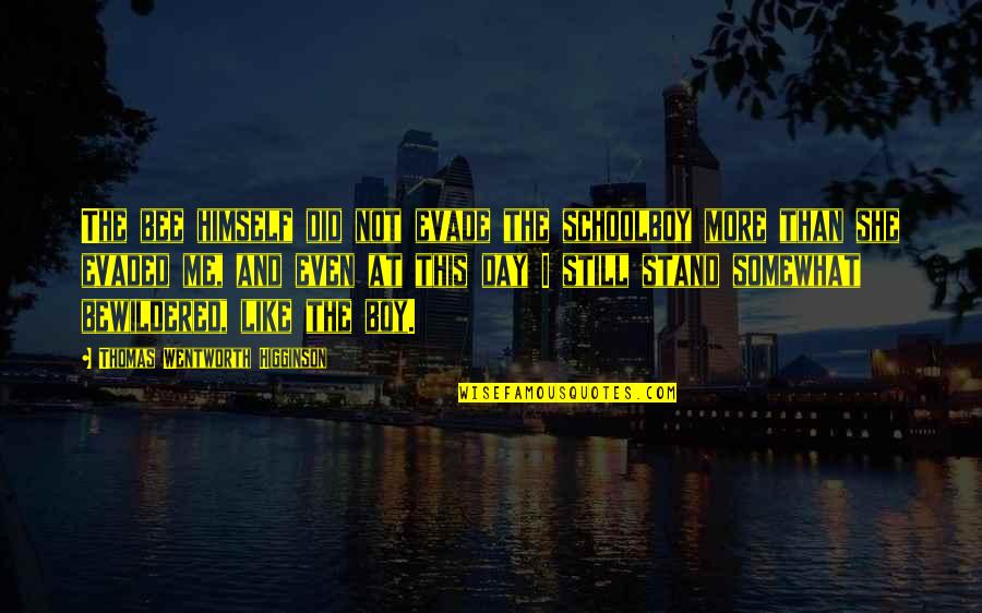 Evade Quotes By Thomas Wentworth Higginson: The bee himself did not evade the schoolboy