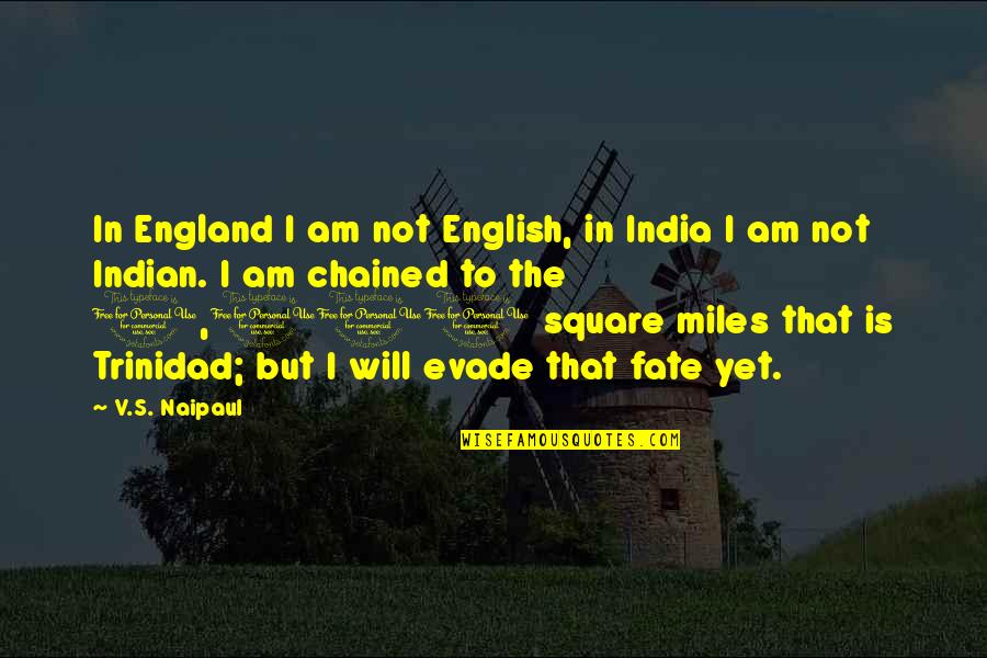 Evade Quotes By V.S. Naipaul: In England I am not English, in India