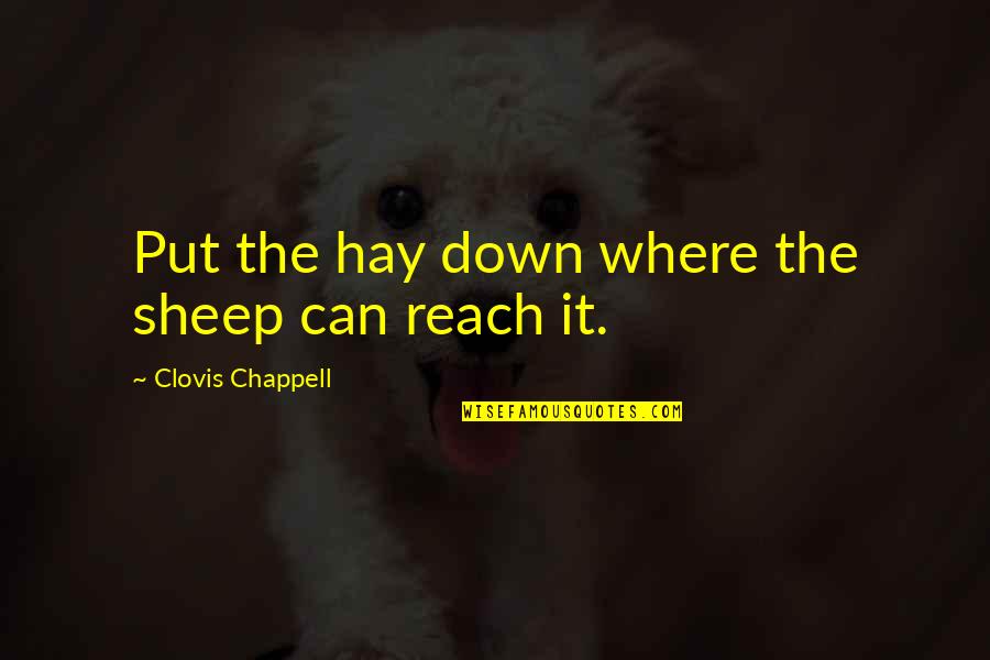 Evades Discord Quotes By Clovis Chappell: Put the hay down where the sheep can