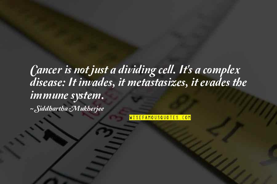 Evades Quotes By Siddhartha Mukherjee: Cancer is not just a dividing cell. It's