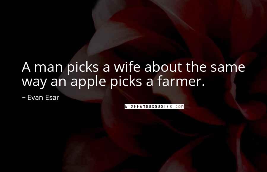 Evan Esar quotes: A man picks a wife about the same way an apple picks a farmer.