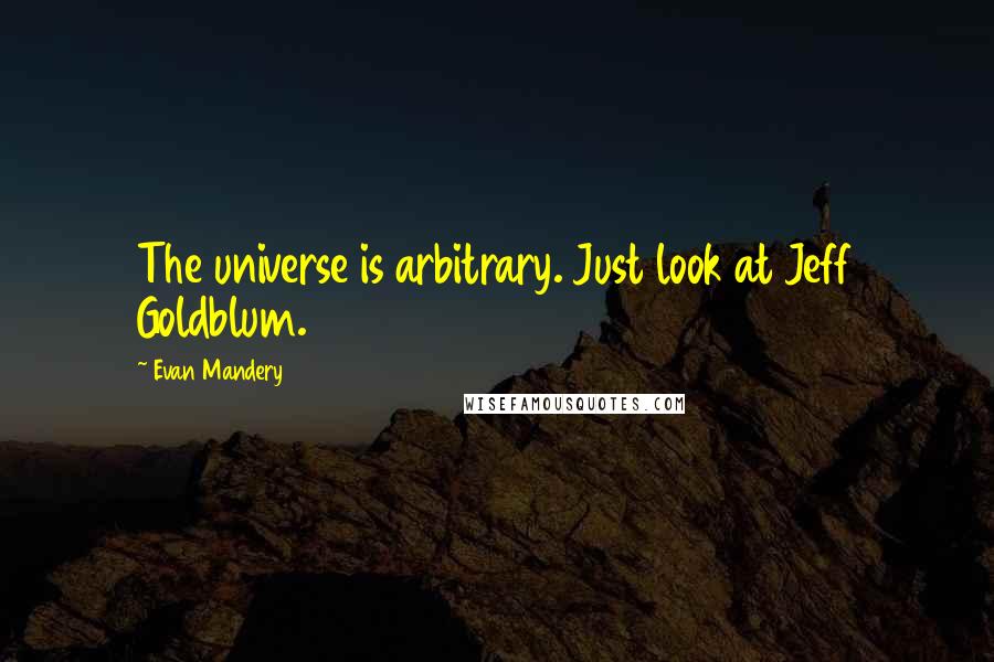 Evan Mandery quotes: The universe is arbitrary. Just look at Jeff Goldblum.