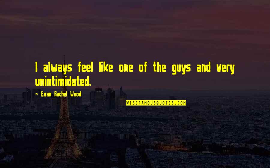 Evan Rachel Wood Quotes By Evan Rachel Wood: I always feel like one of the guys