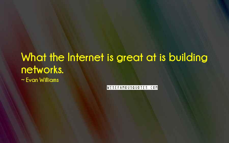 Evan Williams quotes: What the Internet is great at is building networks.