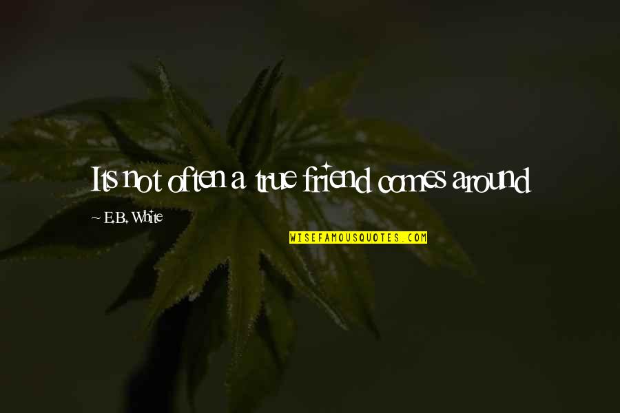 Evanesce Quotes By E.B. White: Its not often a true friend comes around