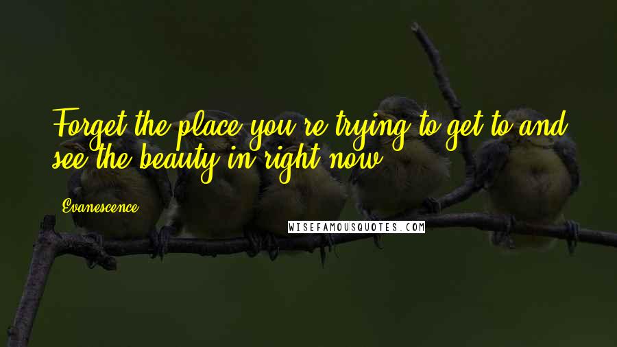 Evanescence quotes: Forget the place you're trying to get to and see the beauty in right now ...