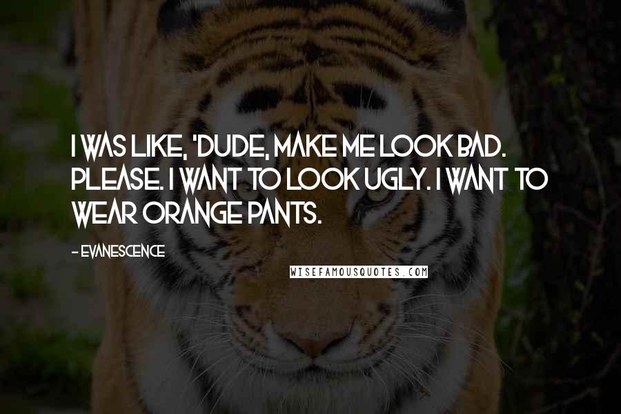Evanescence quotes: I was like, 'Dude, make me look bad. Please. I want to look ugly. I want to wear orange pants.