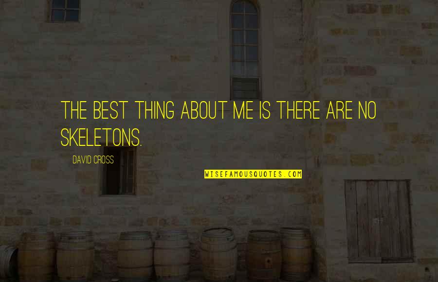 Evangelatos Greenport Quotes By David Cross: The best thing about me is there are