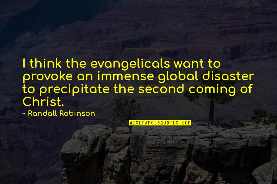 Evangelicals Quotes By Randall Robinson: I think the evangelicals want to provoke an