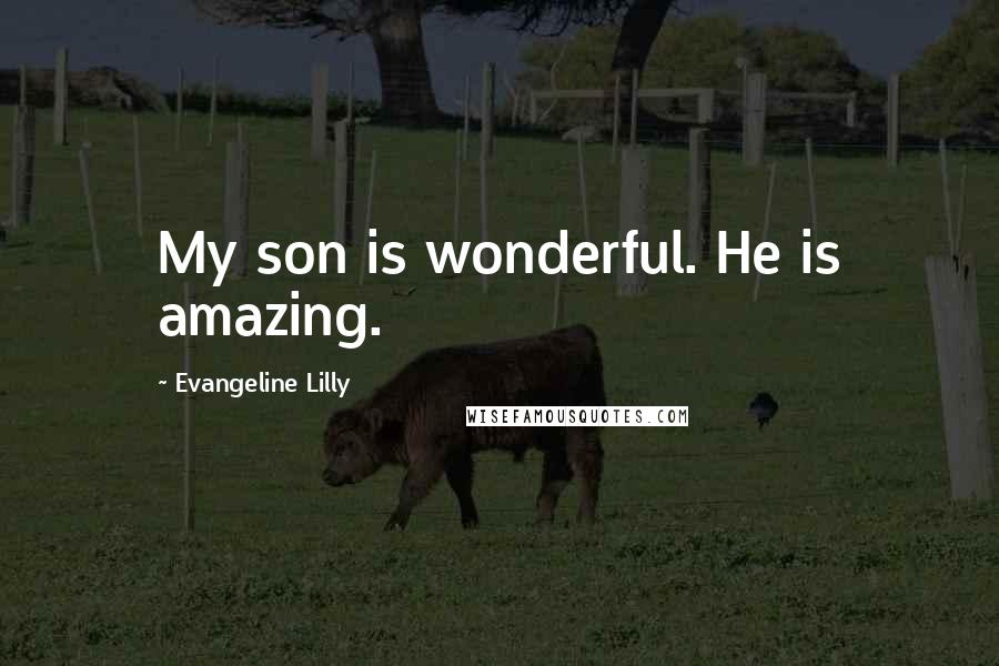 Evangeline Lilly quotes: My son is wonderful. He is amazing.