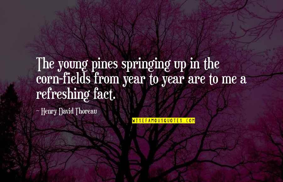 Evangelion 3 0 1 0 Quotes By Henry David Thoreau: The young pines springing up in the corn-fields Evangelion 3 0 1 0 Quotes By Henry David Thoreau: The young pines springing up in the corn-fields