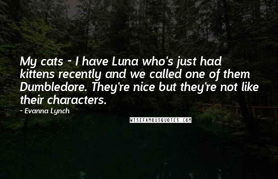 Evanna Lynch quotes: My cats - I have Luna who's just had kittens recently and we called one of them Dumbledore. They're nice but they're not like their characters.