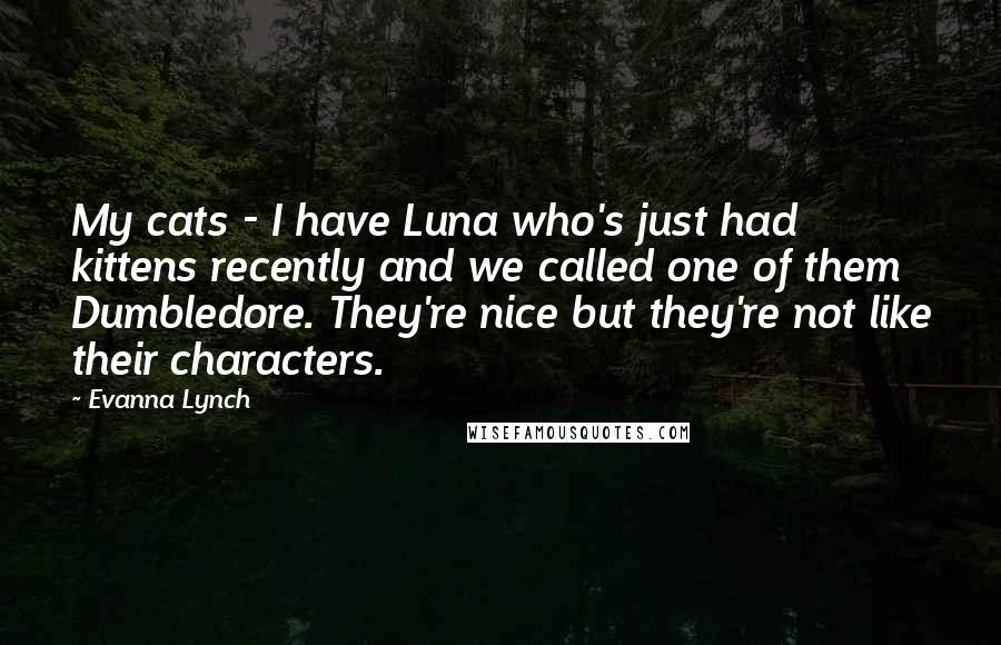 Evanna Lynch quotes: My cats - I have Luna who's just had kittens recently and we called one of them Dumbledore. They're nice but they're not like their characters. Evanna Lynch quotes: My cats - I have Luna who's just had kittens recently and we called one of them Dumbledore. They're nice but they're not like their characters.
