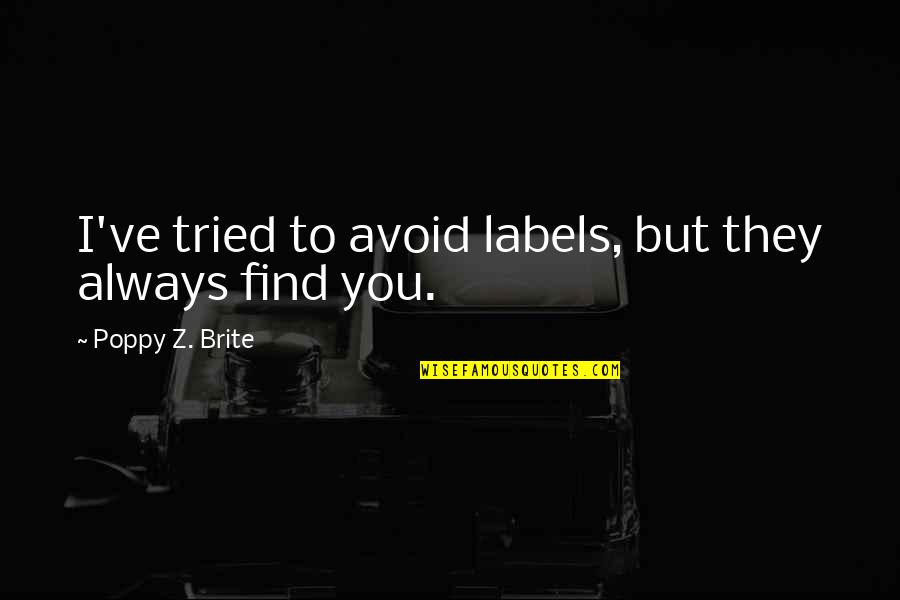 Evaporating Basin Quotes By Poppy Z. Brite: I've tried to avoid labels, but they always Evaporating Basin Quotes By Poppy Z. Brite: I've tried to avoid labels, but they always