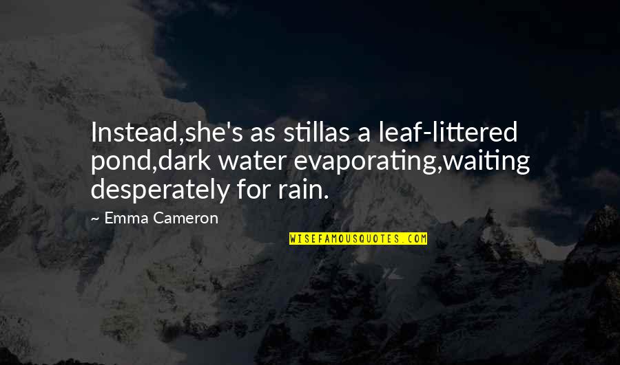 Evaporating Quotes By Emma Cameron: Instead,she's as stillas a leaf-littered pond,dark water evaporating,waiting