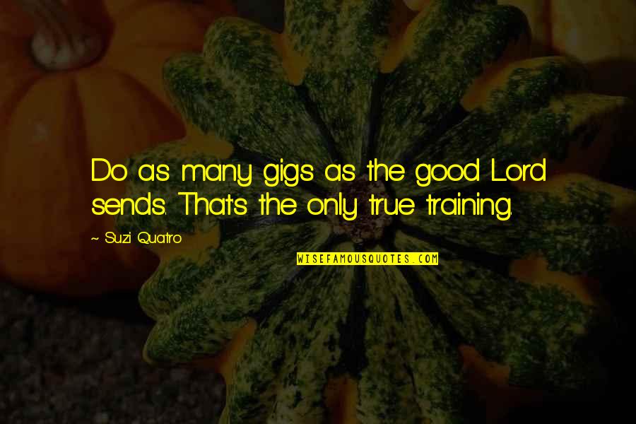 Evardo Turizo Quotes By Suzi Quatro: Do as many gigs as the good Lord