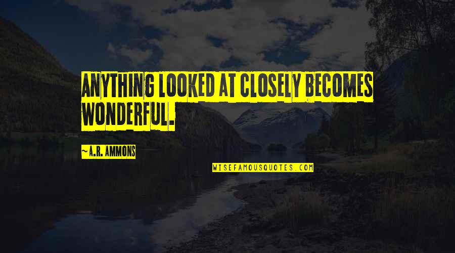 Eve And Temptation Quotes By A.R. Ammons: Anything looked at closely becomes wonderful.