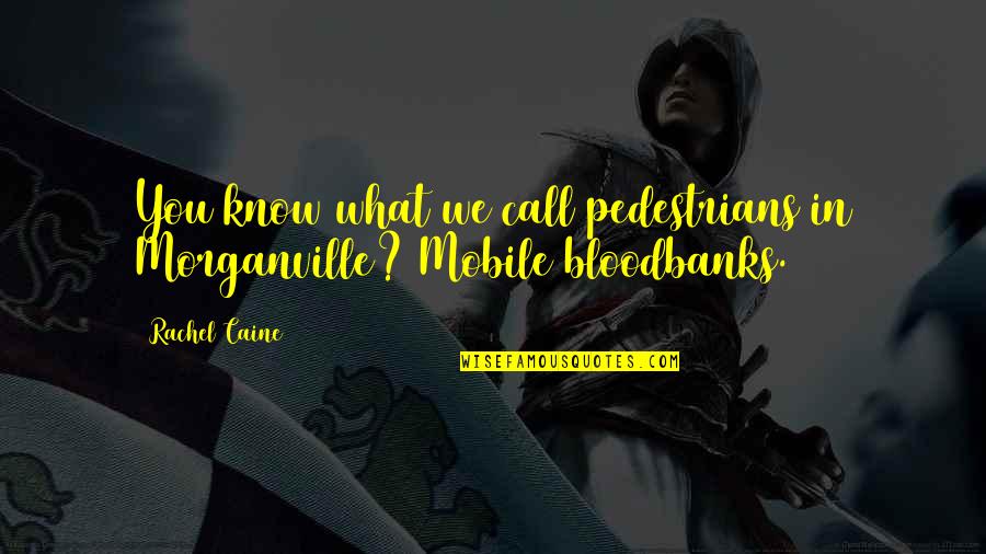 Eve Rosser Quotes By Rachel Caine: You know what we call pedestrians in Morganville?