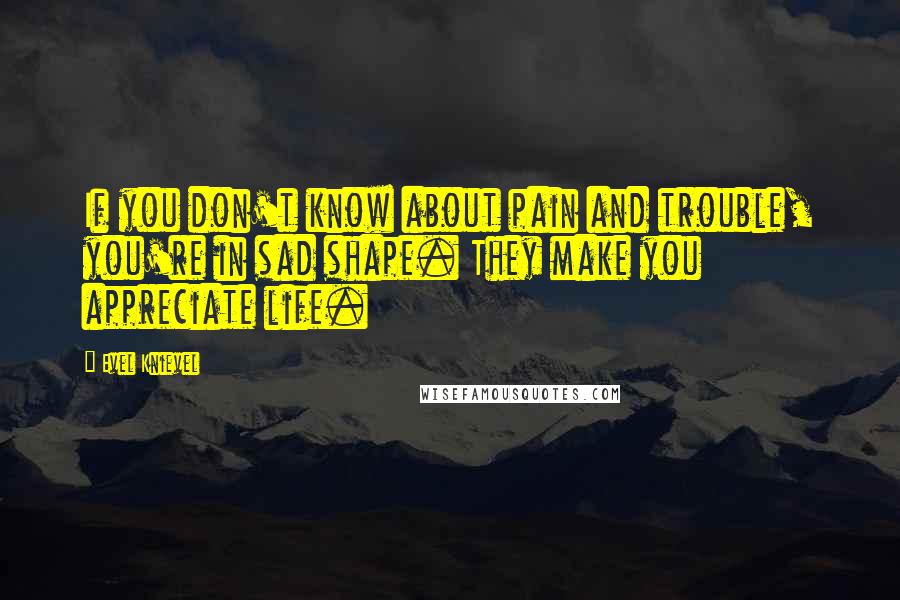 Evel Knievel quotes: If you don't know about pain and trouble, you're in sad shape. They make you appreciate life.