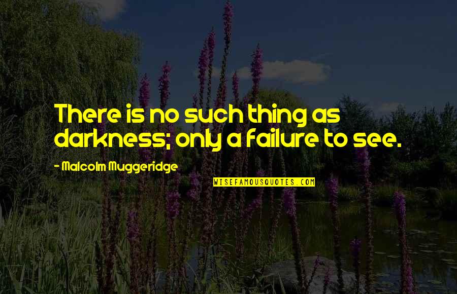 Evelin And Corey Quotes By Malcolm Muggeridge: There is no such thing as darkness; only