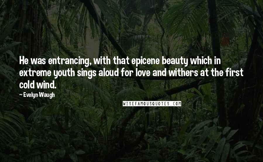 Evelyn Waugh quotes: He was entrancing, with that epicene beauty which in extreme youth sings aloud for love and withers at the first cold wind.