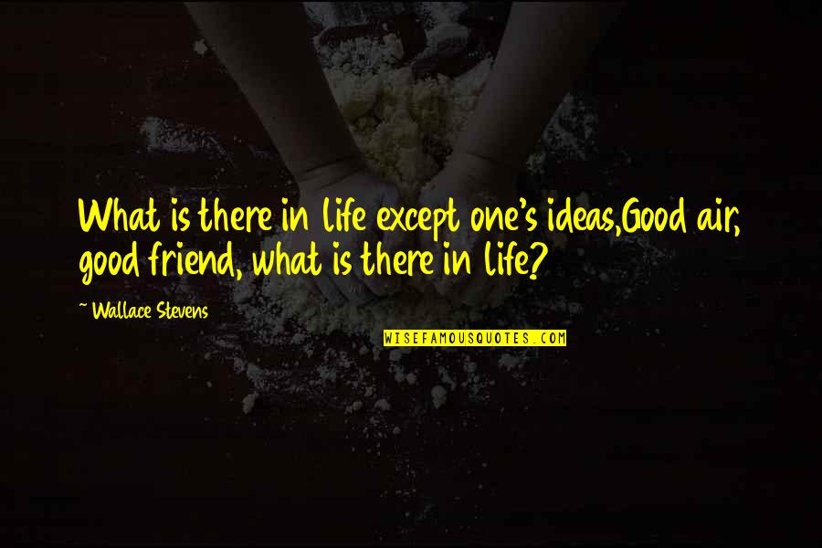 Even Stevens Quotes By Wallace Stevens: What is there in life except one's ideas,Good