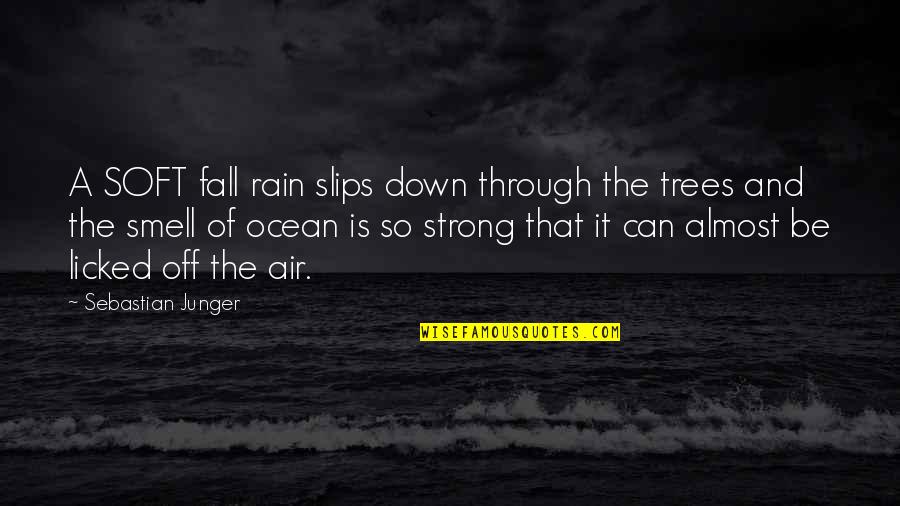 Even Through The Rain Quotes By Sebastian Junger: A SOFT fall rain slips down through the