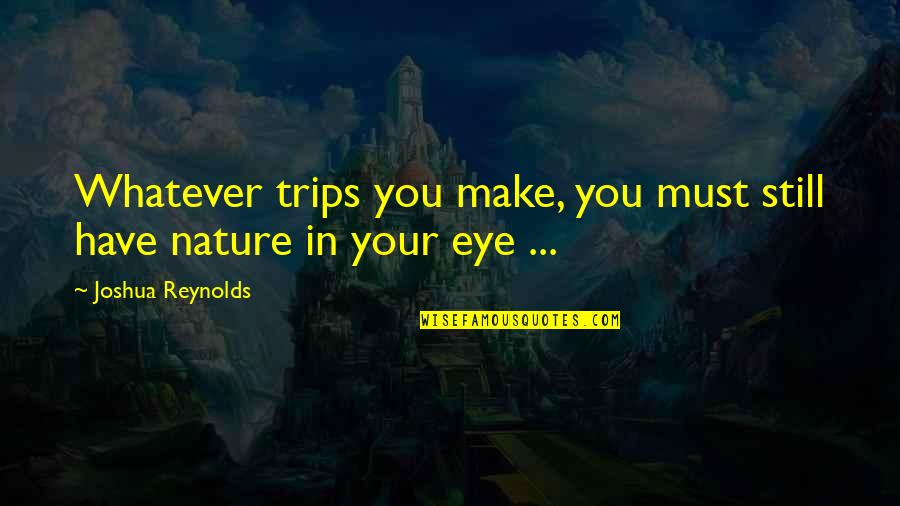 Even When You Make Me Mad Quotes By Joshua Reynolds: Whatever trips you make, you must still have