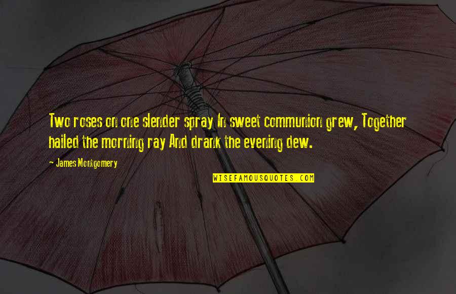 Evening And Morning Quotes By James Montgomery: Two roses on one slender spray In sweet Evening And Morning Quotes By James Montgomery: Two roses on one slender spray In sweet